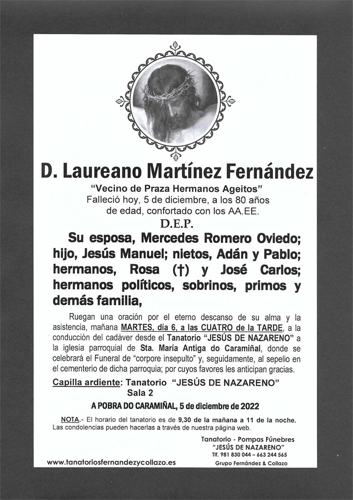 Foto principal D. LAUREANO MARTÍNEZ FERNÁNDEZ