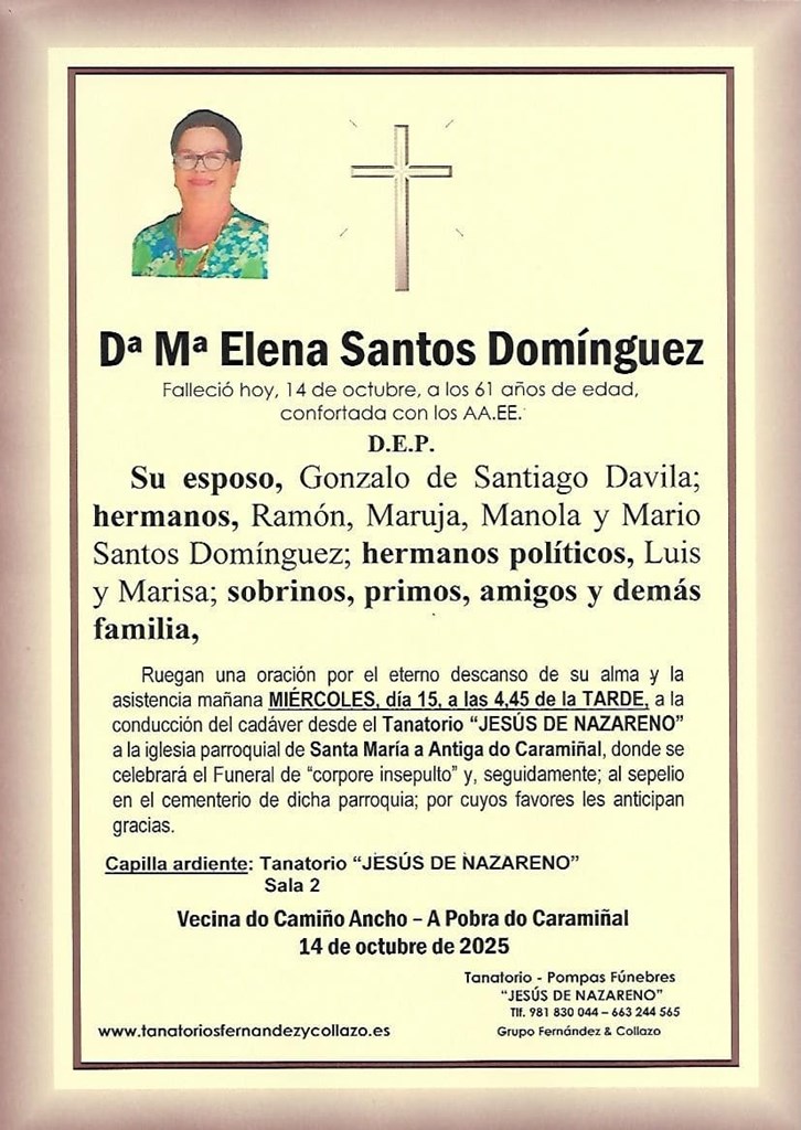 Dª Mª Elena Santos Domínguez